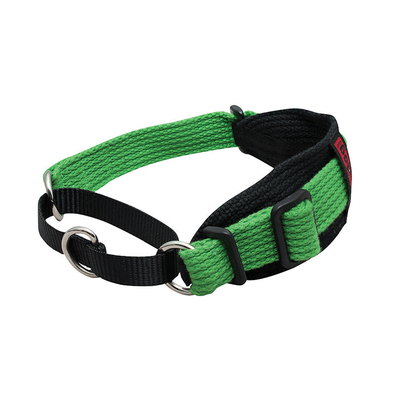Black Dog Wear Two Tone Sighthound Collar