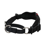 Black Dog Wear Whippet Collar