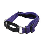 Black Dog Wear Whippet Collar