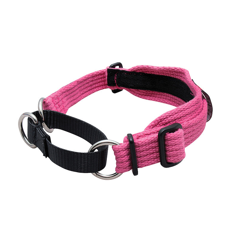 Black Dog Wear Whippet Collar vet-n-pet DIRECT