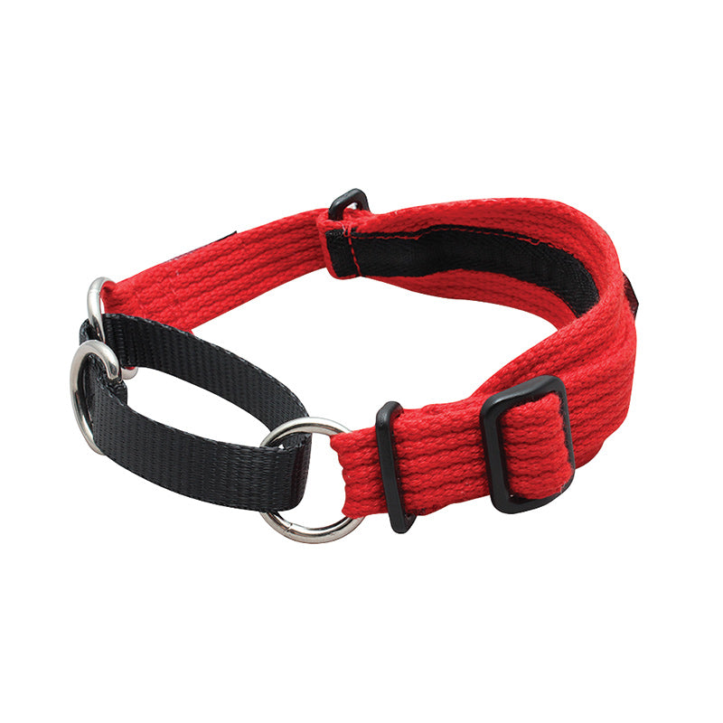 Black Dog Wear Whippet Collar