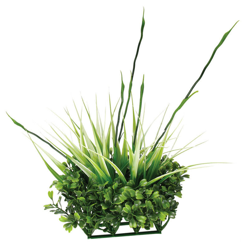 Fluval Chi Boxwood and Tall Grass  Ornament