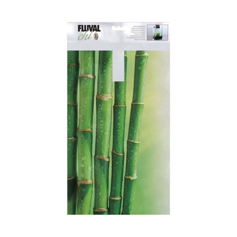 Fluval Chi Aquarium Theme Background