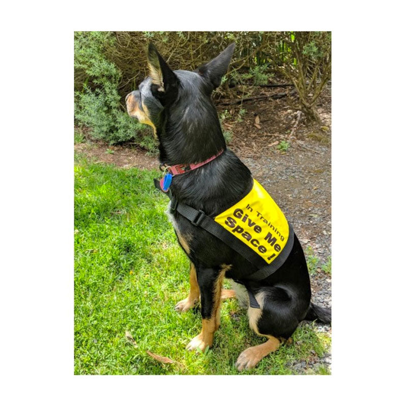 Black Dog Wear Give Me Space Vest