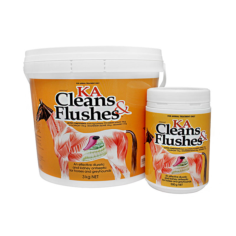 KA Cleans and Flushes