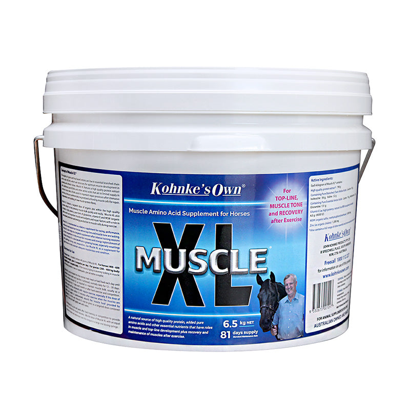 Kohnke's Own Muscle XL