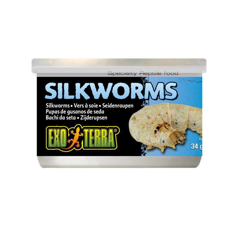 Exo Terra Silkworms 34g - Medium
