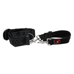 Black Dog Wear Hands Free Training Belt