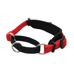 Black Dog Wear Italian Greyhound Collar