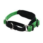 Black Dog Wear Italian Greyhound Collar