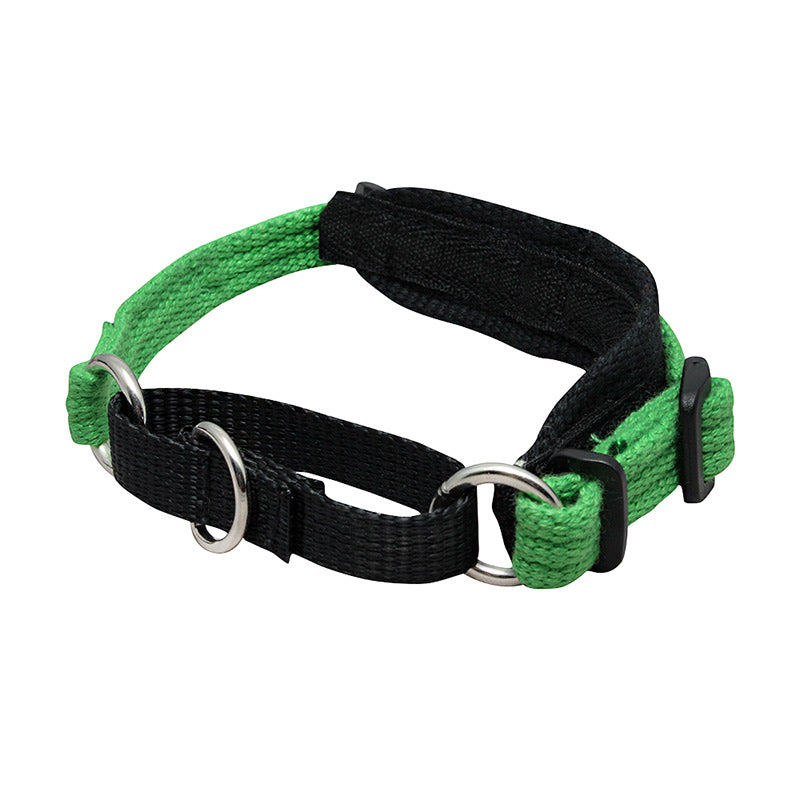 Black Dog Wear Italian Greyhound Collar