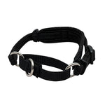 Black Dog Wear Italian Greyhound Collar