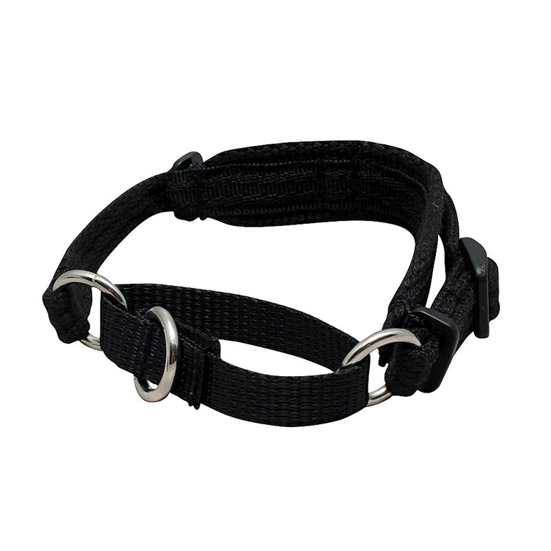 Black Dog Wear Italian Greyhound Collar