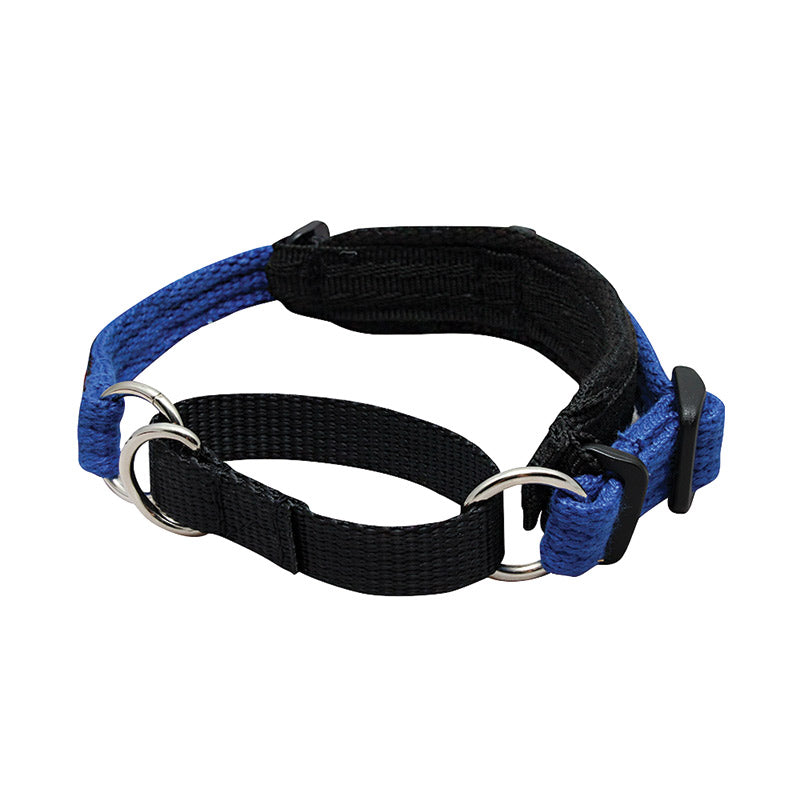 Black Dog Wear Italian Greyhound Collar vet-n-pet DIRECT