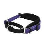 Black Dog Wear Italian Greyhound Collar