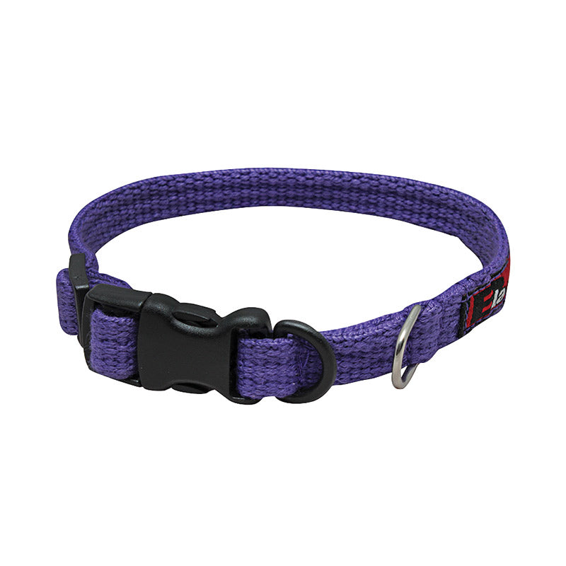 Black Dog Wear Standard Puppy Collar