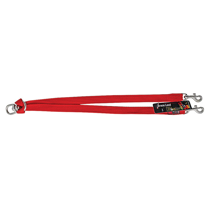 Black Dog Wear Brace Lead