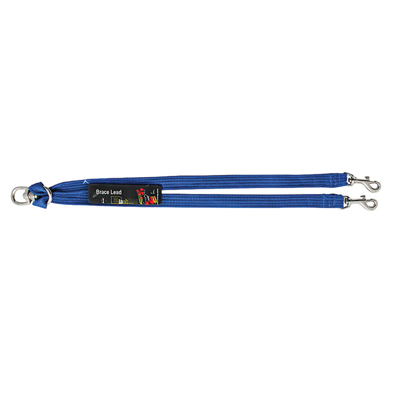 Black Dog Wear Brace Lead