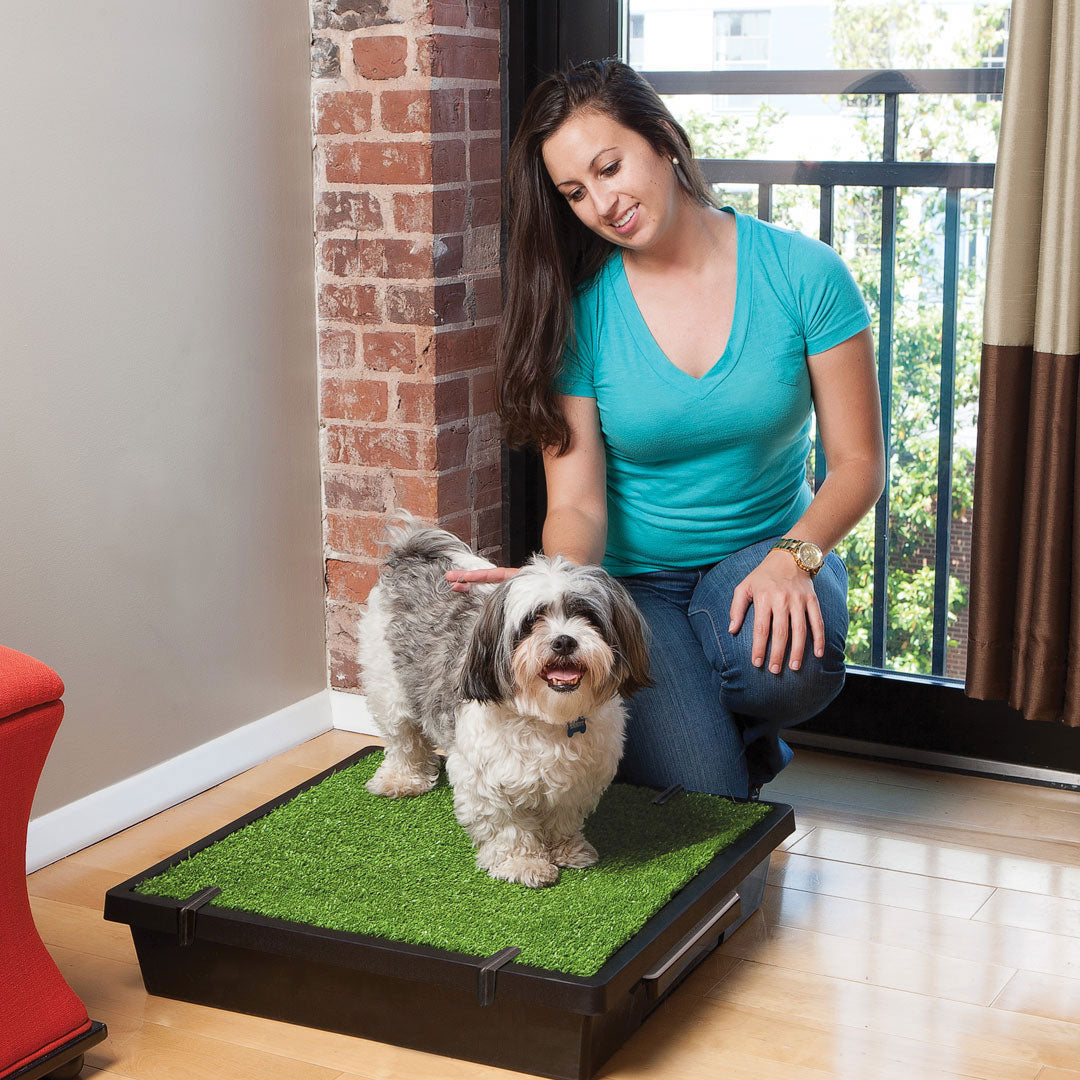 The Pet Loo Original Indoor Pet Toilet