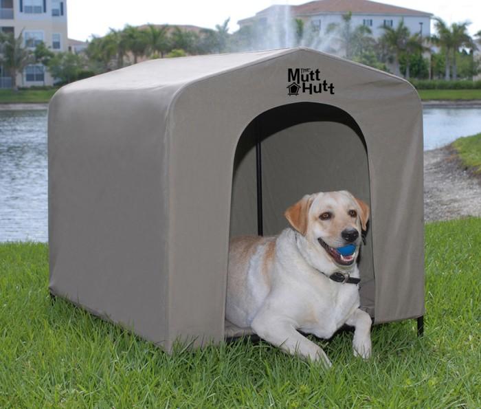 The Mutt Hutt