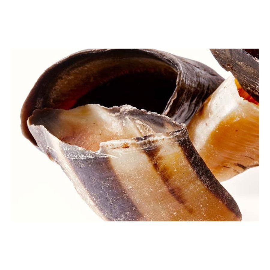 CLEAR Dog Treats Australian Cow Hooves (Unfilled) vetnpet DIRECT