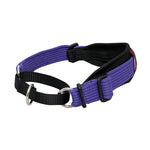 Black Dog Wear Two Tone Sighthound Collar