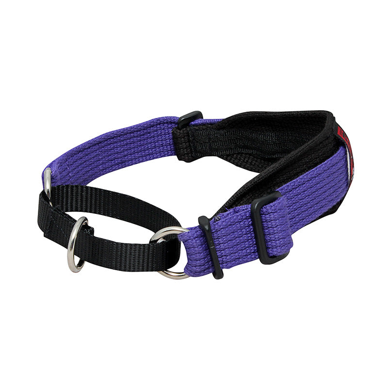 Black Dog Wear Two Tone Sighthound Collar
