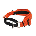 Black Dog Wear Whippet Collar
