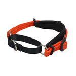Black Dog Wear Italian Greyhound Collar