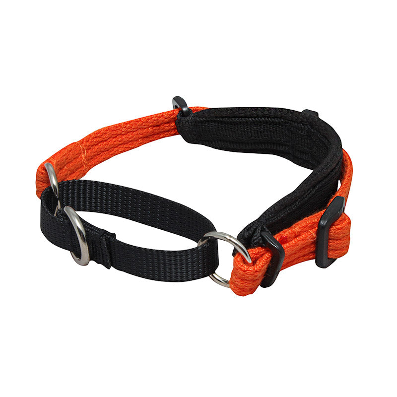 Black Dog Wear Italian Greyhound Collar