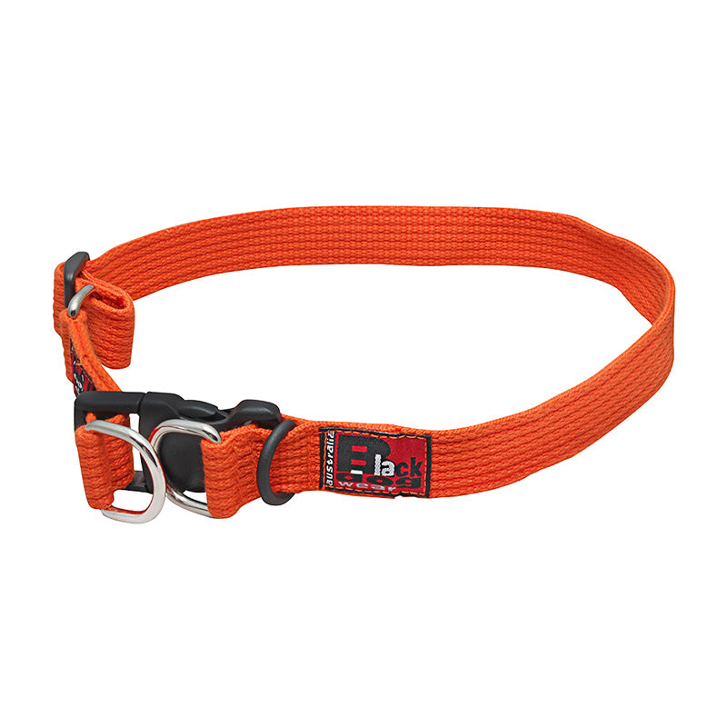 Black Dog Wear Super Strong Dog Collar