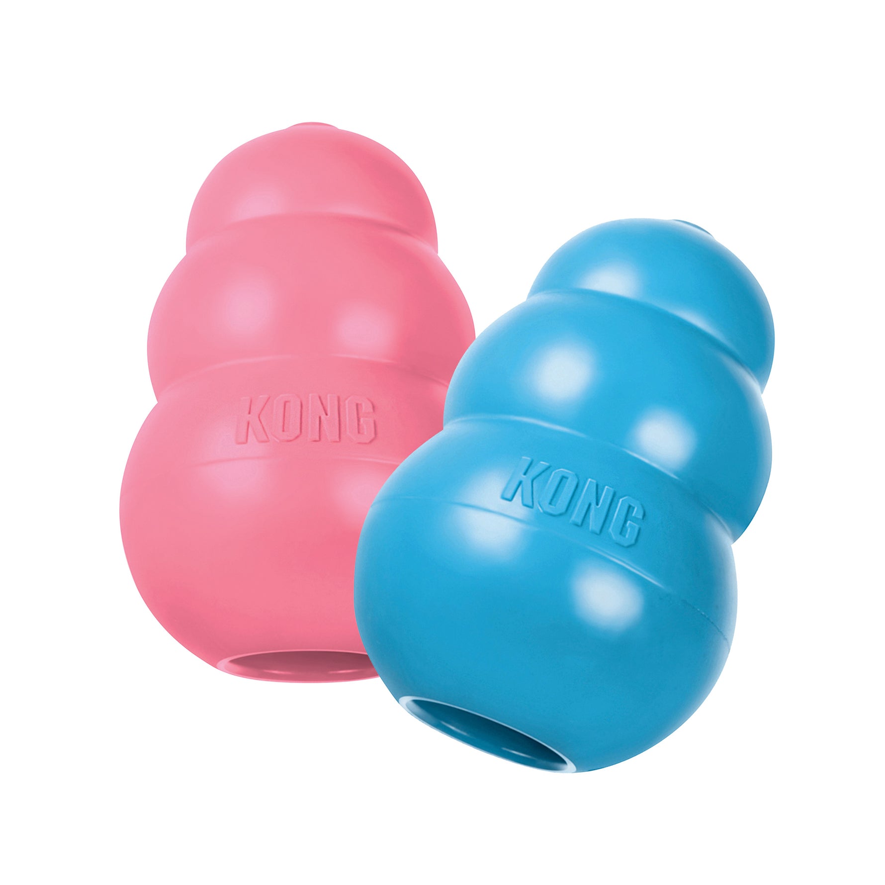 KONG Puppy