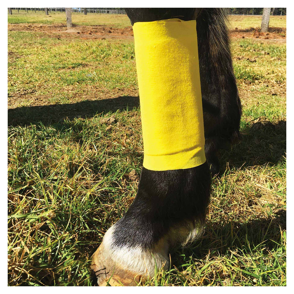 Ranvet Essential Wrap All In One Bandage