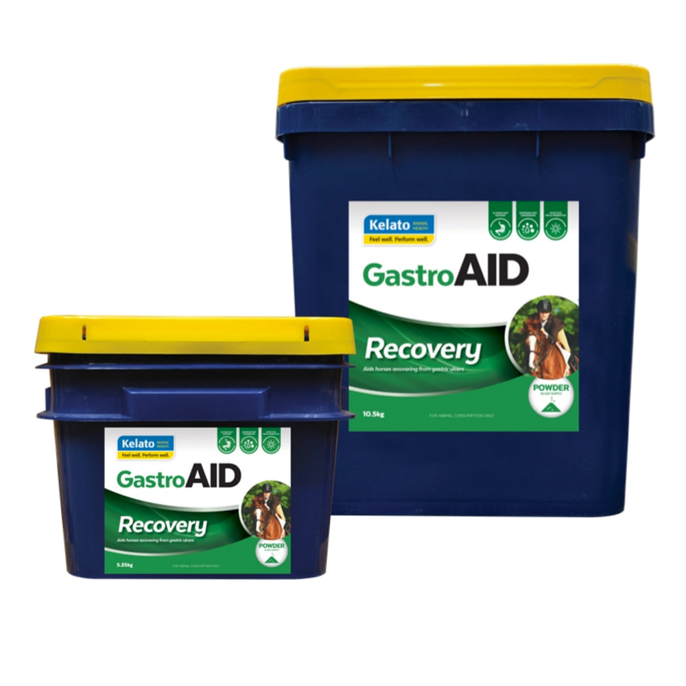 Kelato GastroAID Recovery