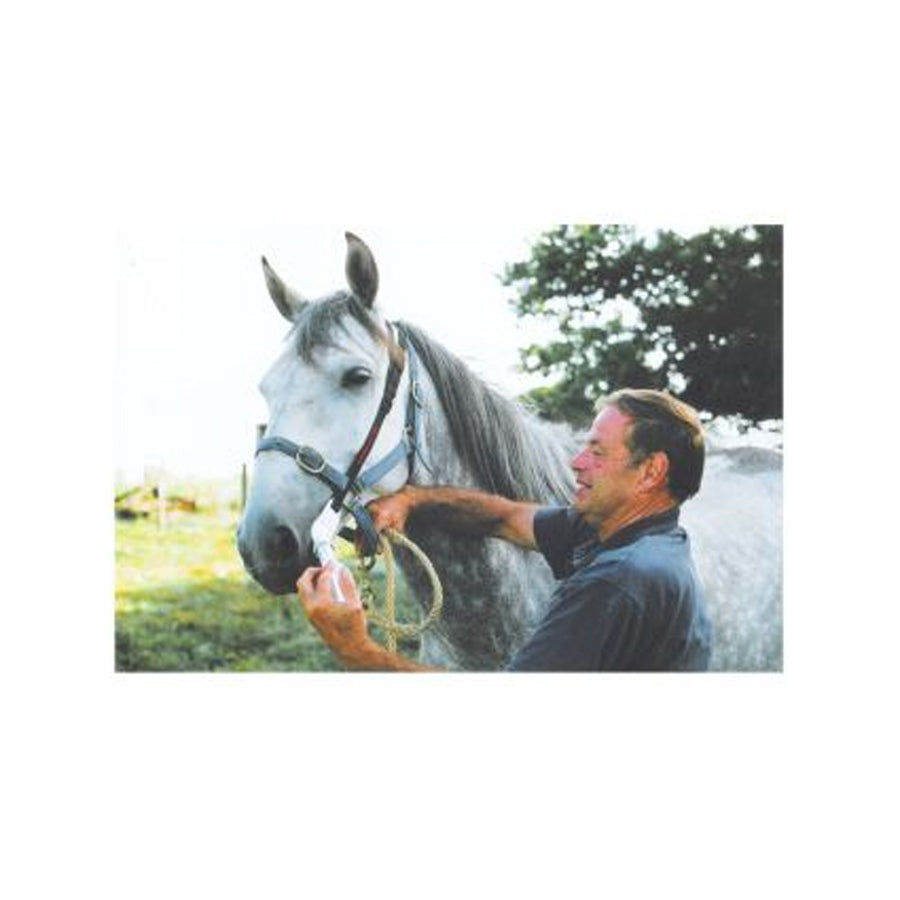 Universal Horse Worming Bit