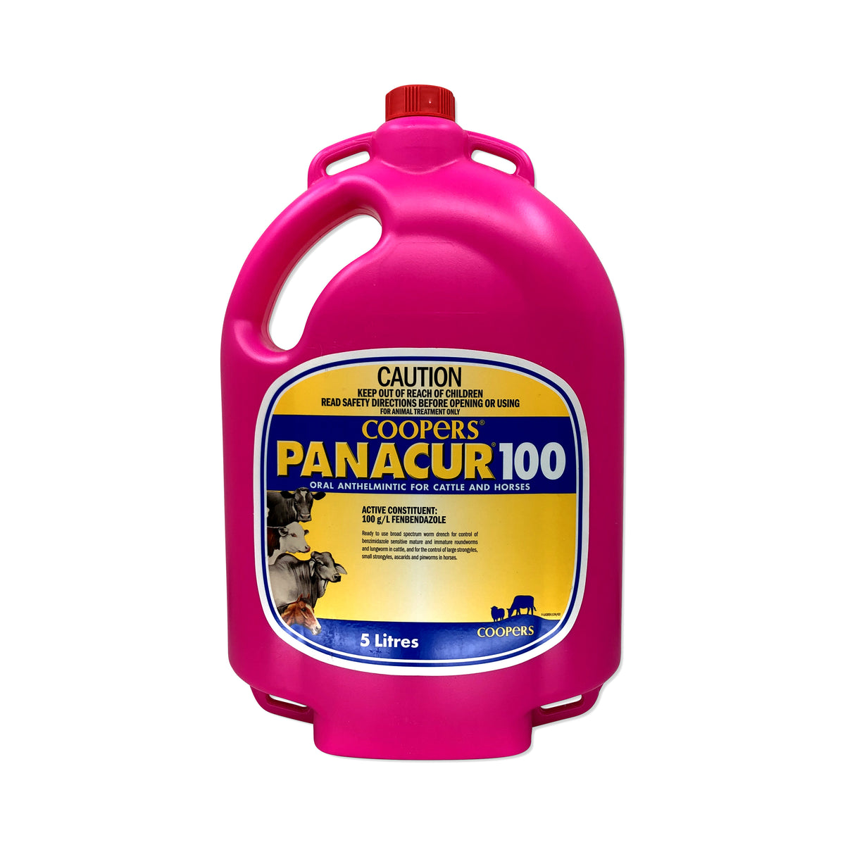 Panacur 100 Oral Anthelmintic for Horses &amp; Cattle