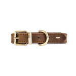 EzyDog Oxford Classic Leather Dog Collar