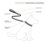 EzyDog Oxford Classic Leather Dog Leash