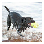 KONG AirDog Squeaker Football