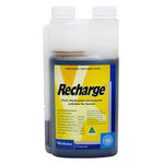 Recharge Electrolyte Liquid for Horses