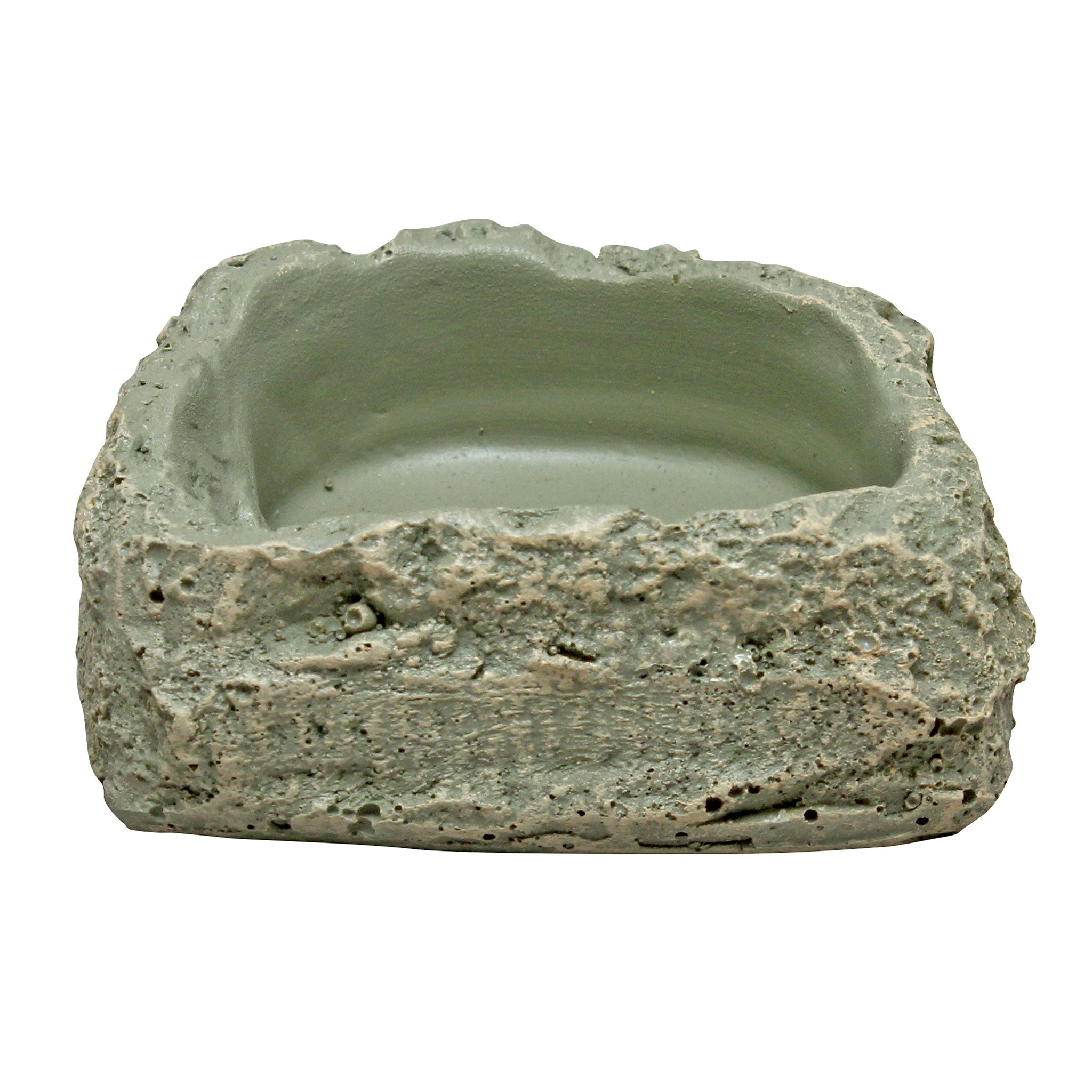 Reptile Water Bowl