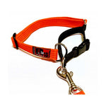 Black Dog Wear Limited Slip Collar