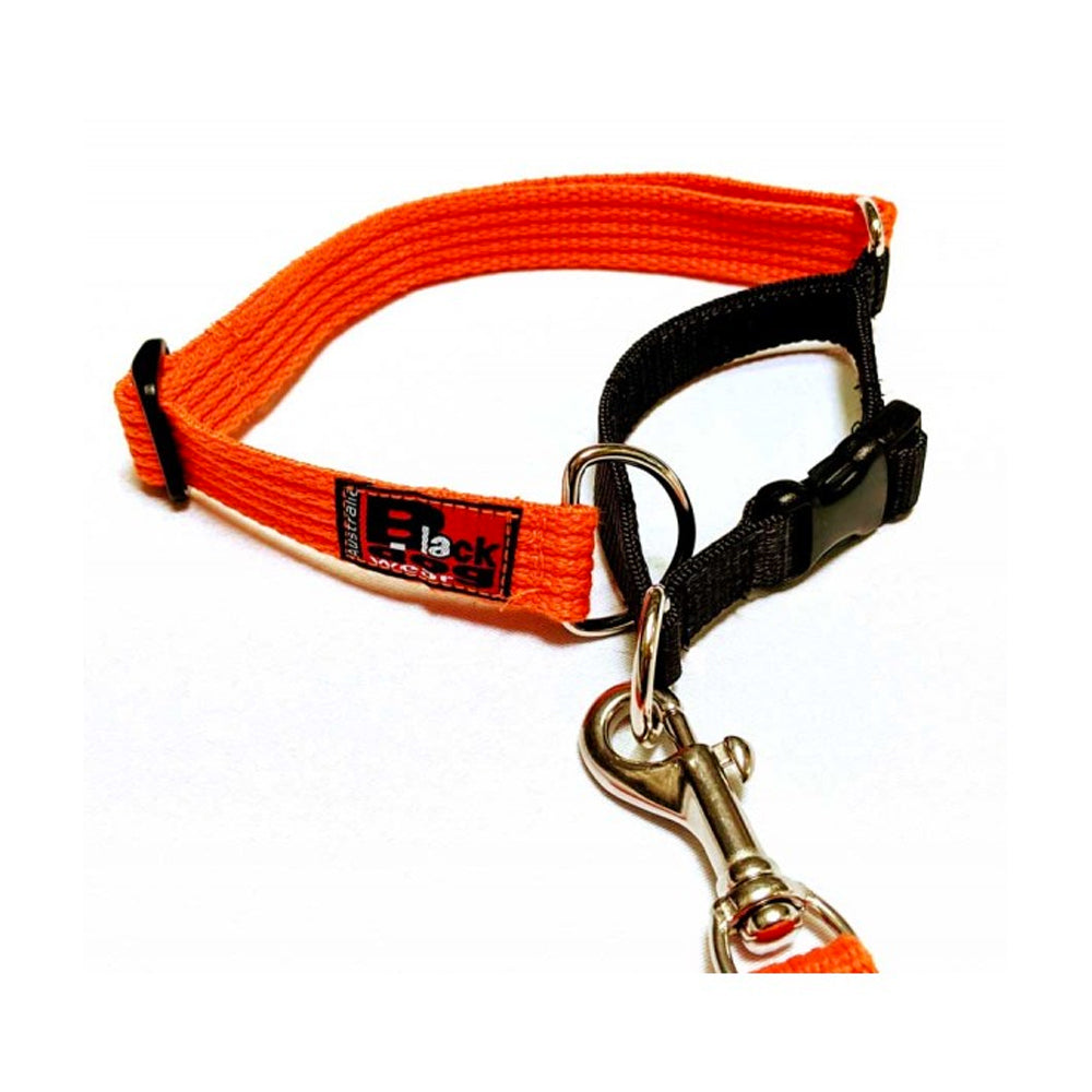 Black Dog Wear Limited Slip Collar