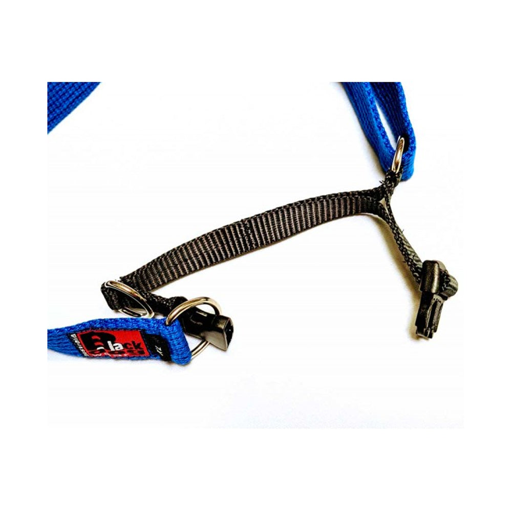 Black Dog Wear Limited Slip Collar