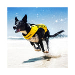 EzyDog DFDX2 Boost Life Jacket
