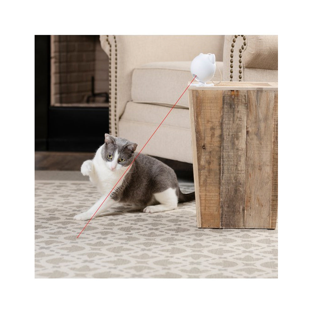 PetSafe Dancing Dot Laser Cat Toy