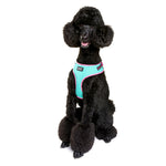 DOOG Neoflex Soft Harness - Neon