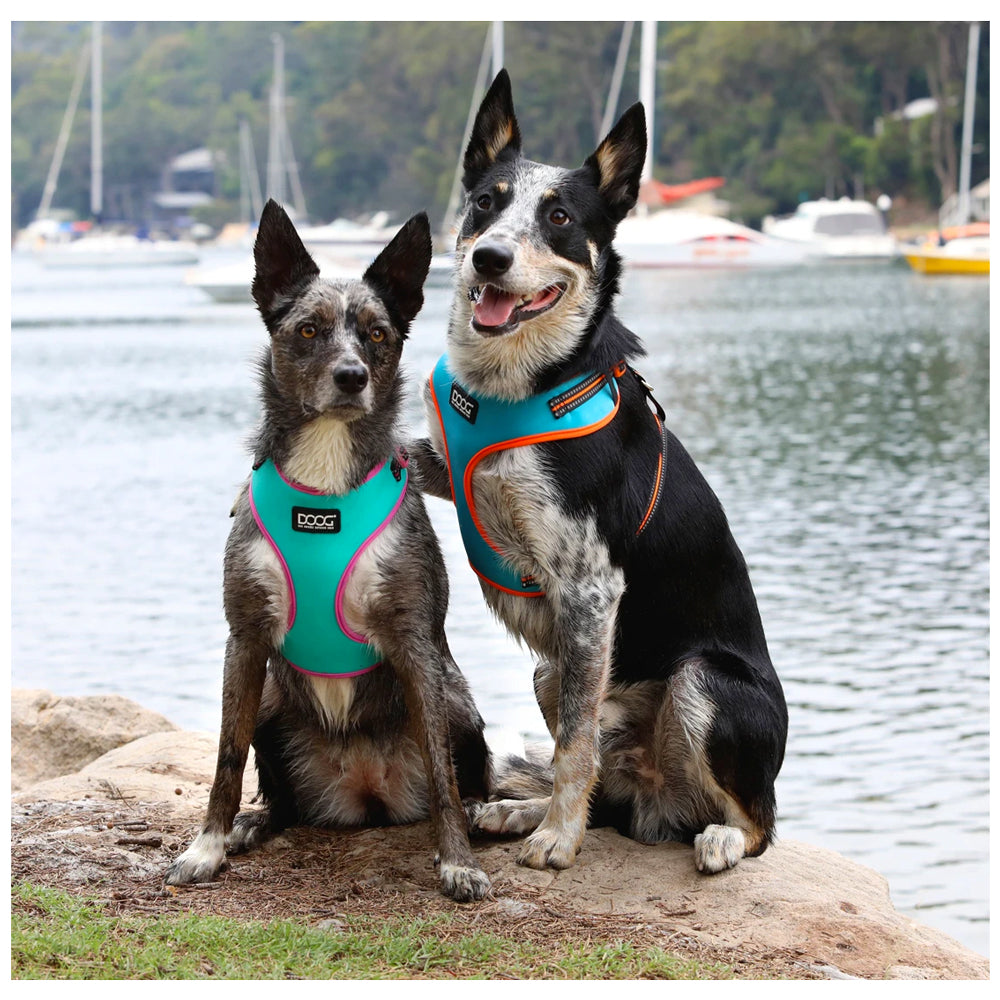 DOOG Neoflex Soft Harness - Neon