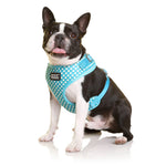 DOOG Neoflex Soft Harness - Assorted Patterns