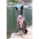 DOOG Neoflex Soft Harness - Assorted Patterns